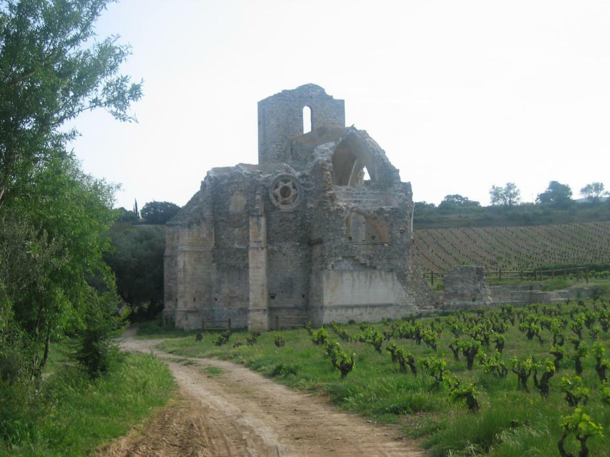 Maison De La Fontaine Embres-et-Castelmaure Eksteriør billede
